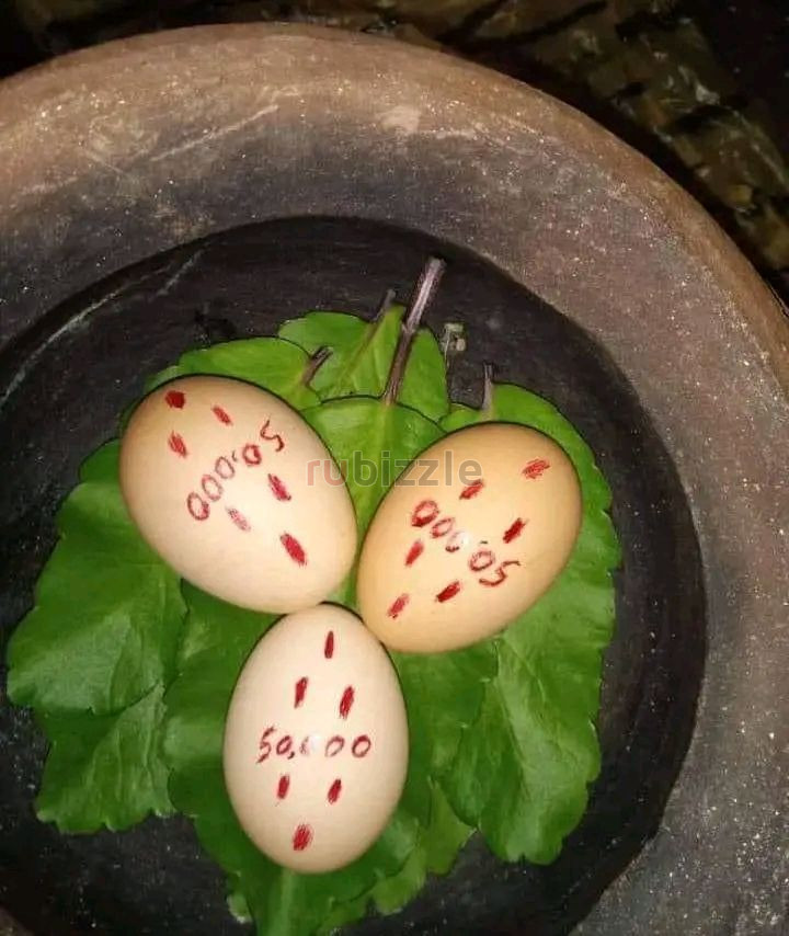 Get your ex back spell Toronto   ,+27735584255 SOUTH AFRICA .